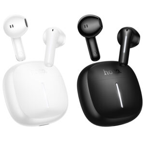 Hoco Comfortable Semi-in Ear Headset with Charging Case EQ33