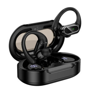 Comfortable Ear Hook Headset with Charging Case (EQ29)