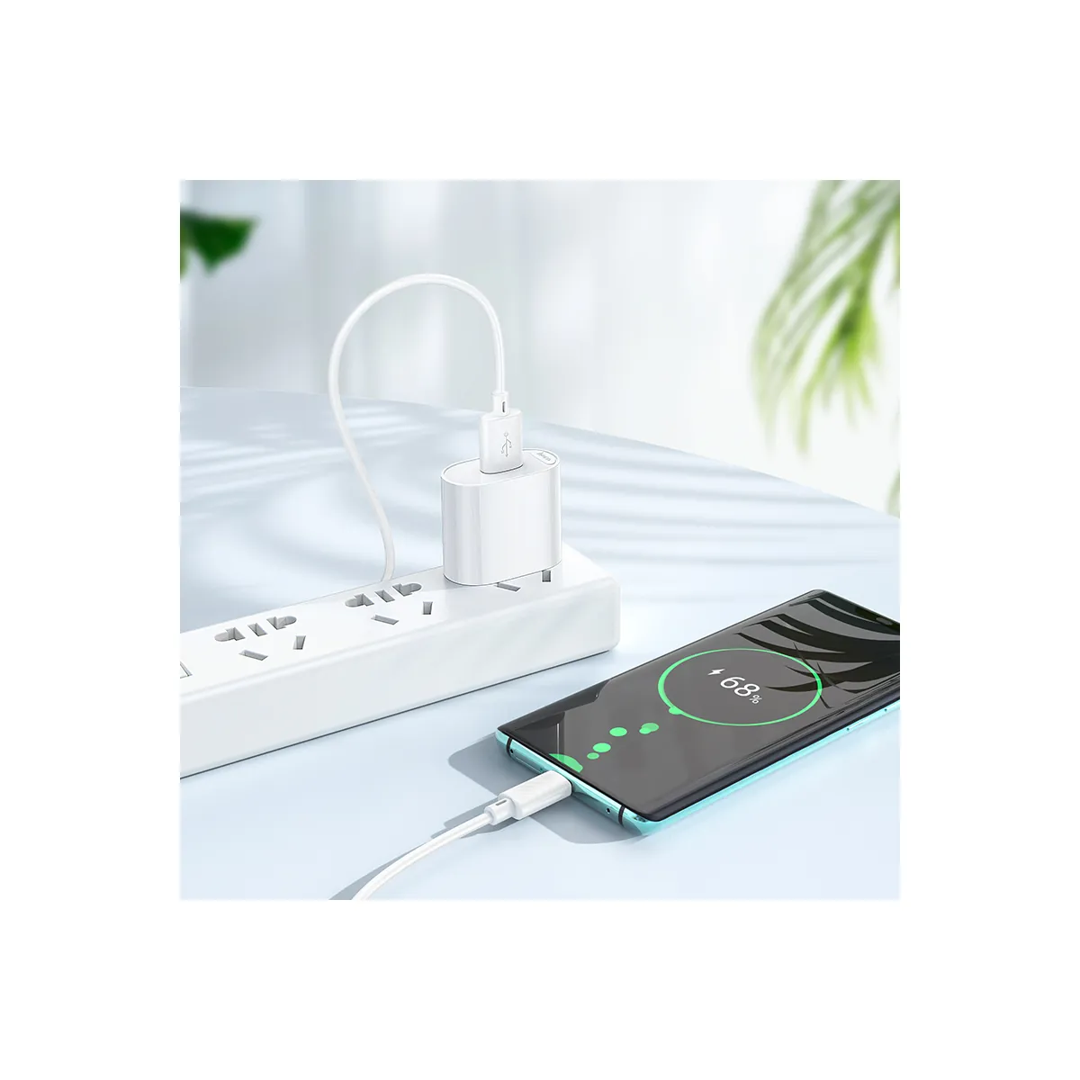 C109(10.5W) Fighter single port charger set(Type-C)(US) – image 7